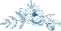 Beautiful-flower-vector-PNG (1)
